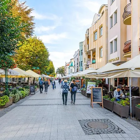 Comfy - Lux Na Fali - Monte Cassino Lägenhet